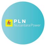 PLN NP